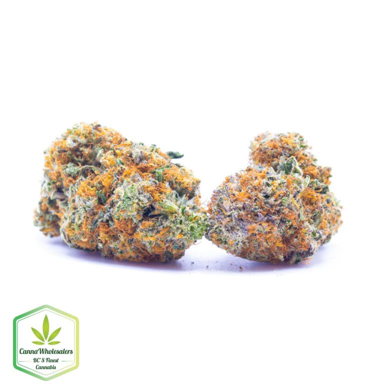 Budget Oz – Trop Cherry
