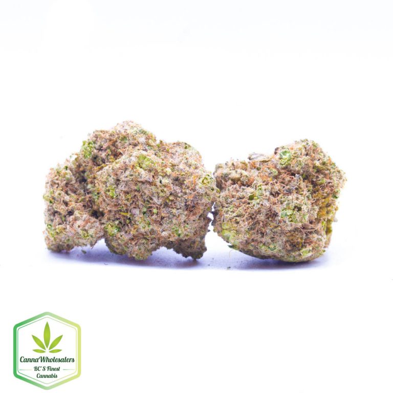 Budget Oz – Hawaiian Rain