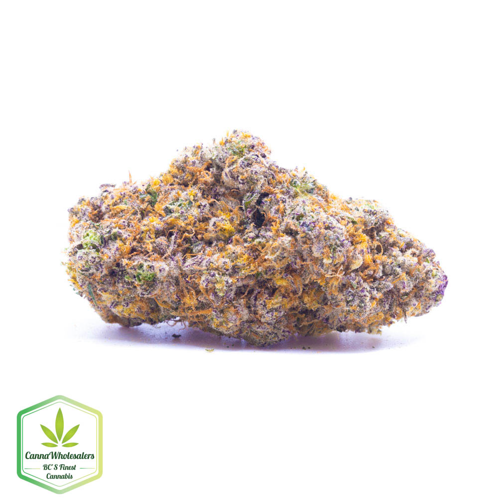 Divine Gelato