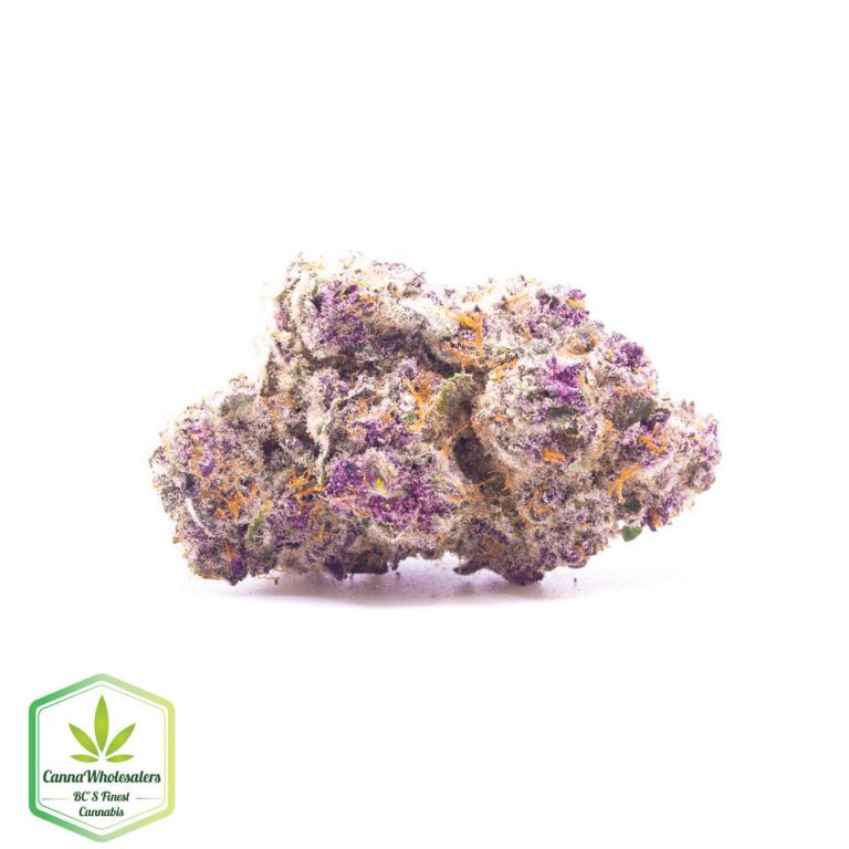 Purple Gushers – Craft Gardens