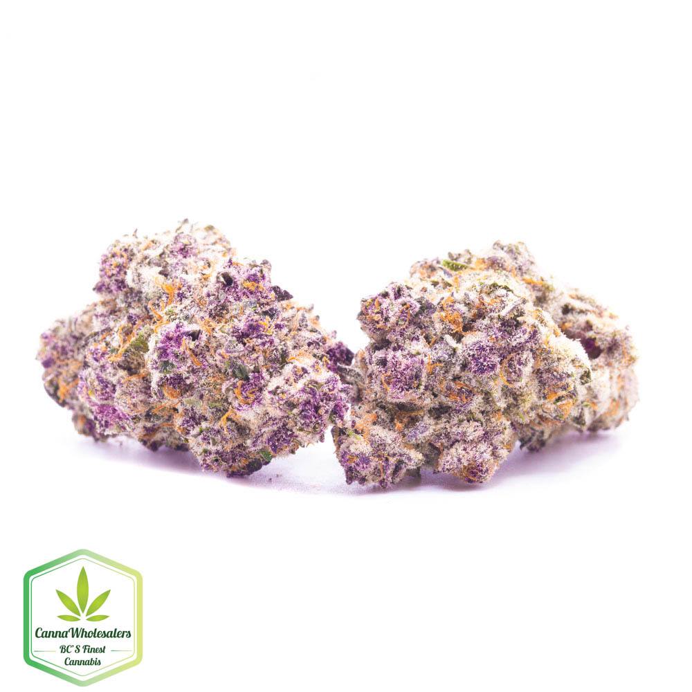 Purple Gushers – Craft Gardens