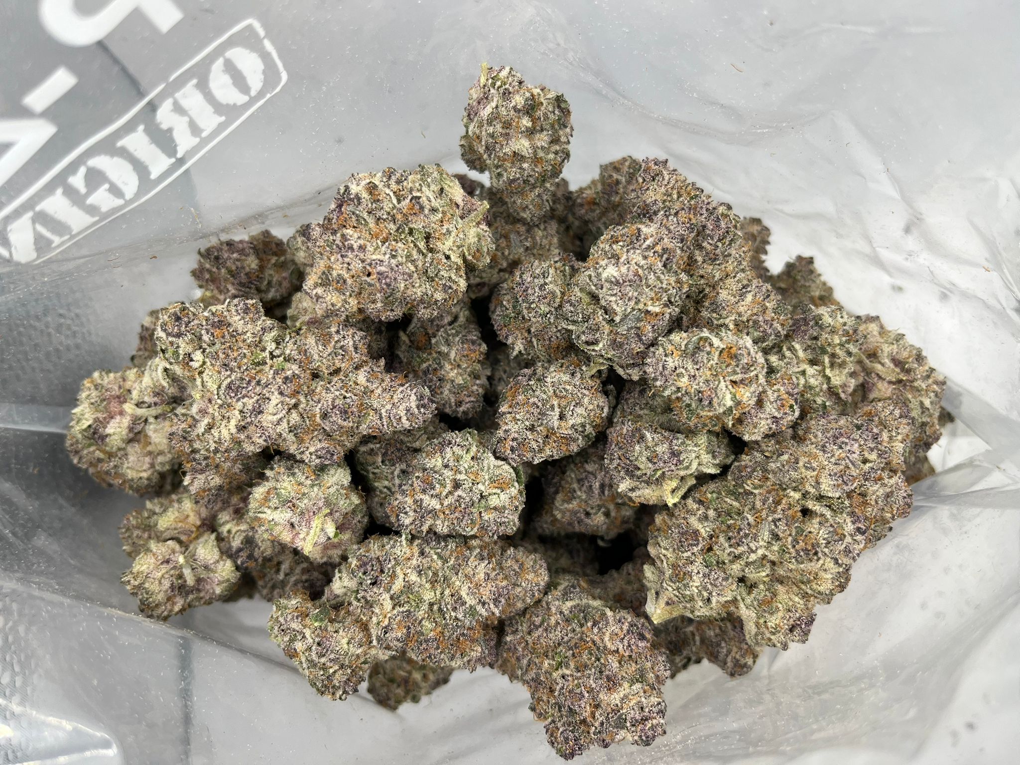 Purple Gushers – Craft Gardens
