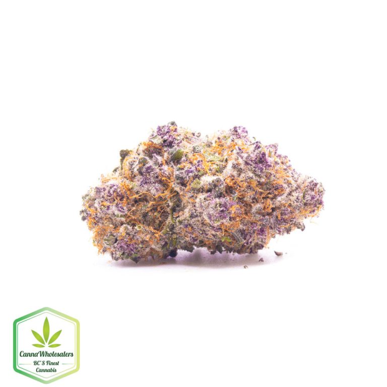 Dolce Gelato – Craft Gardens