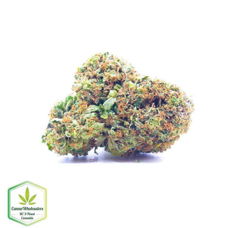 Rockstar Kush