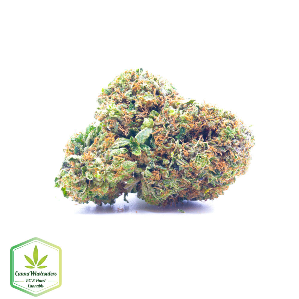 Rockstar Kush