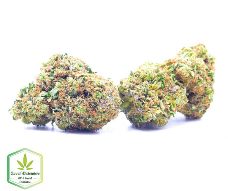 Budget Oz – Rockstar Kush