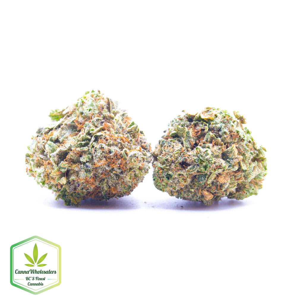 Budget Oz – Glass Apple