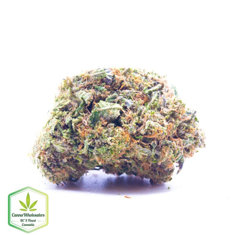 Black Afghan