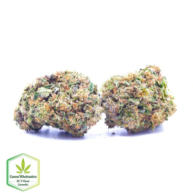 Budget Oz – Black Afghan