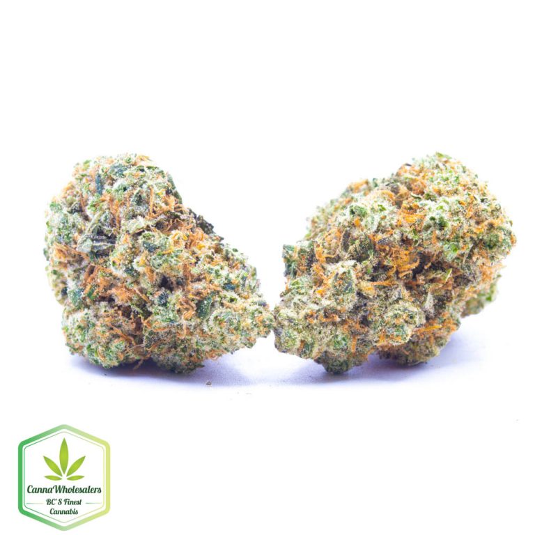 Budget Oz – Blue Monster