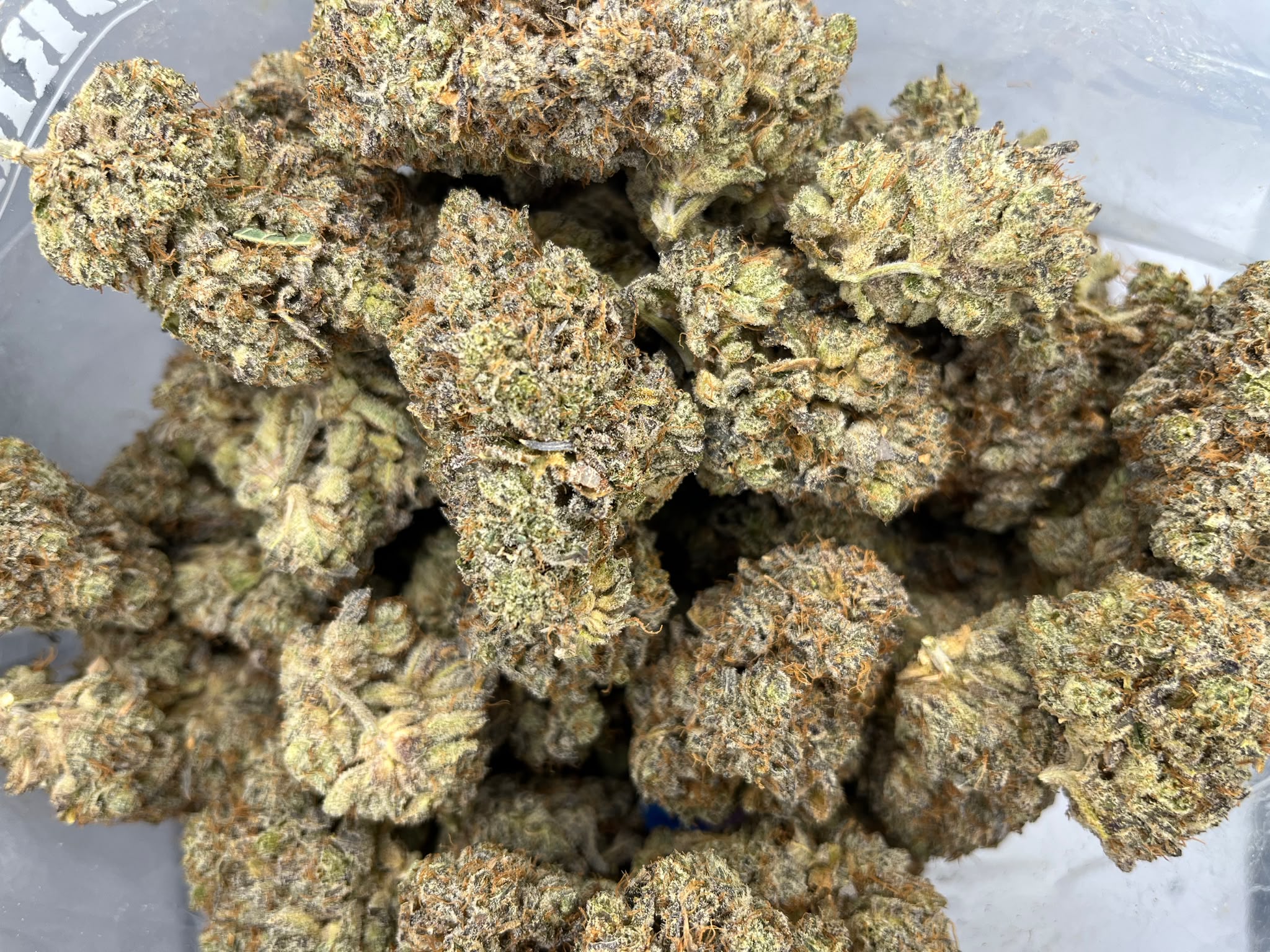 Craft Gardens – Candyland