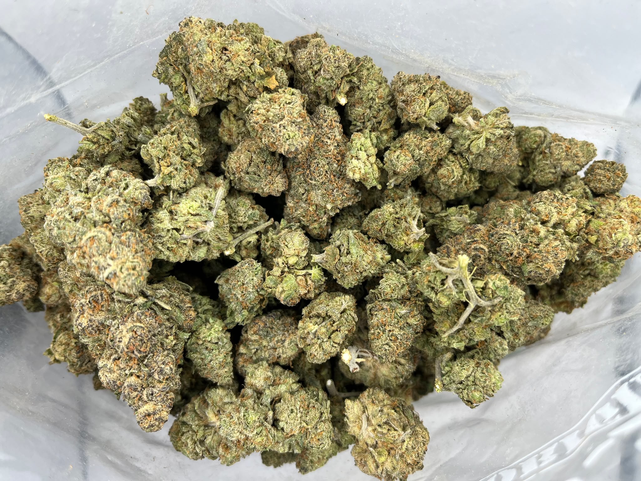 Budget Oz – Sugar Breath