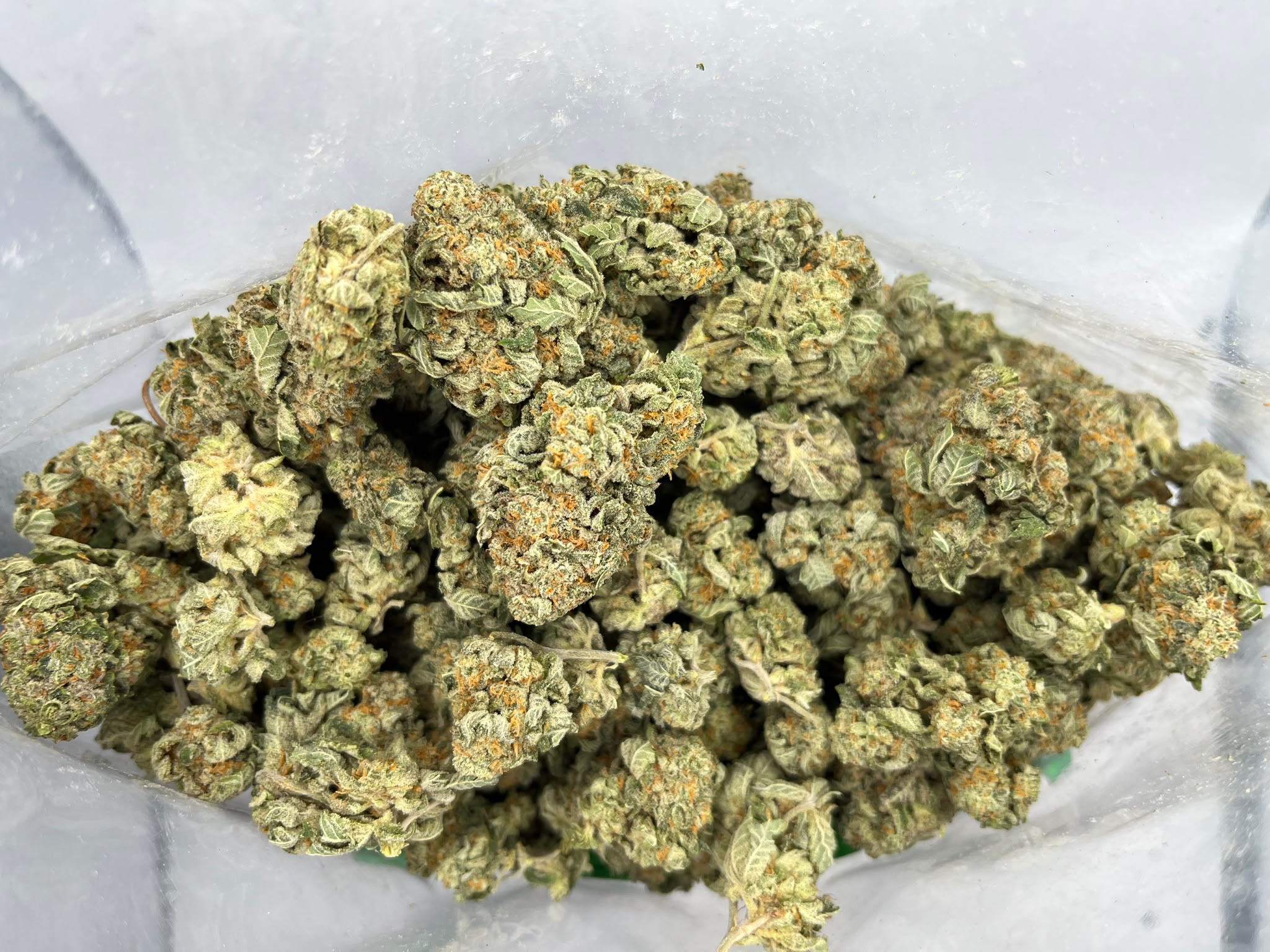 Budget Oz – Blue Monsters