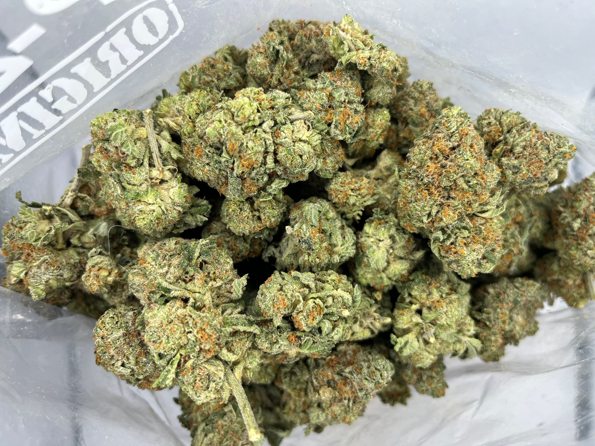 Budget Oz – Bacio Gelato