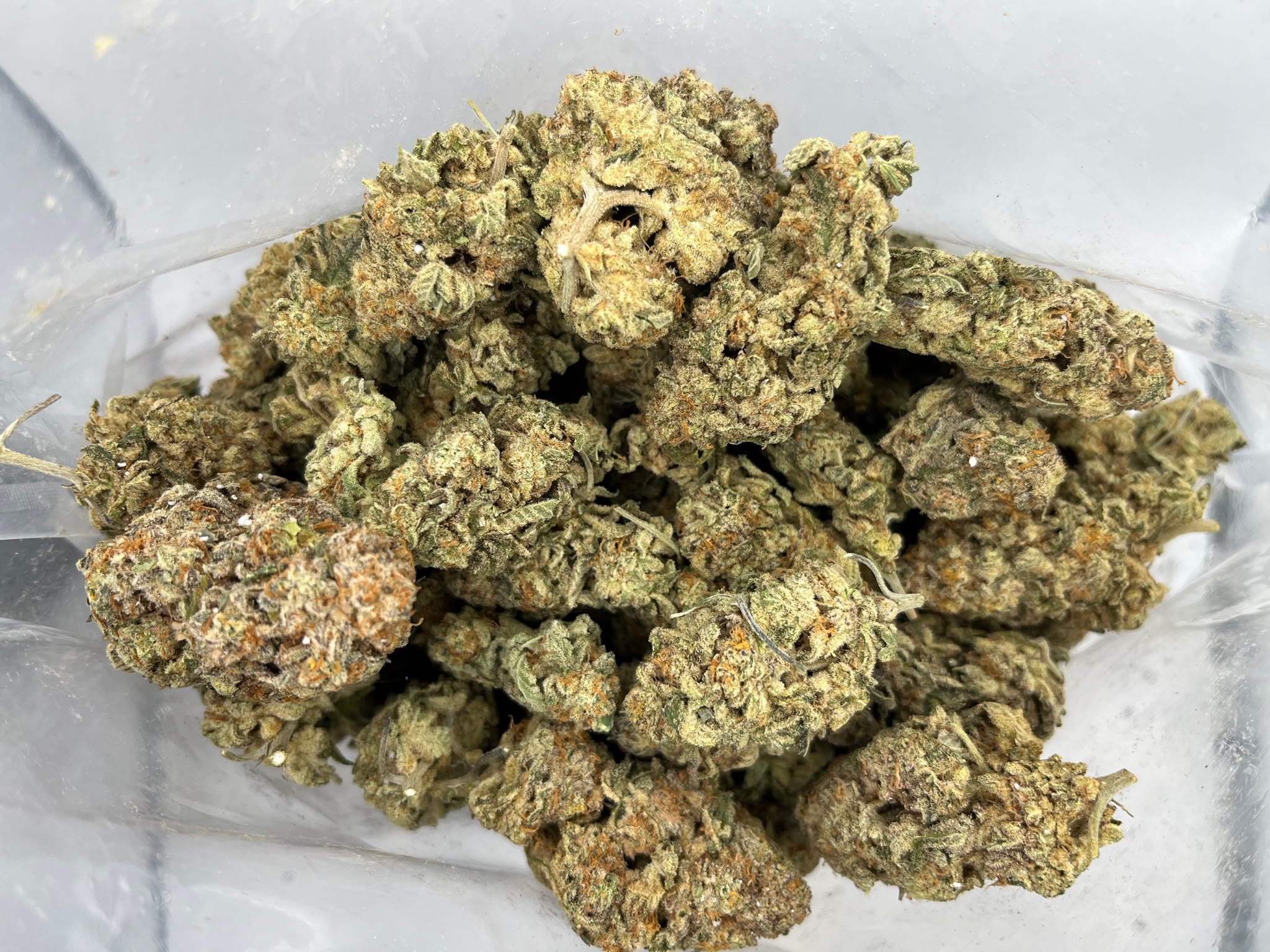 Budget Oz – Sherbanger