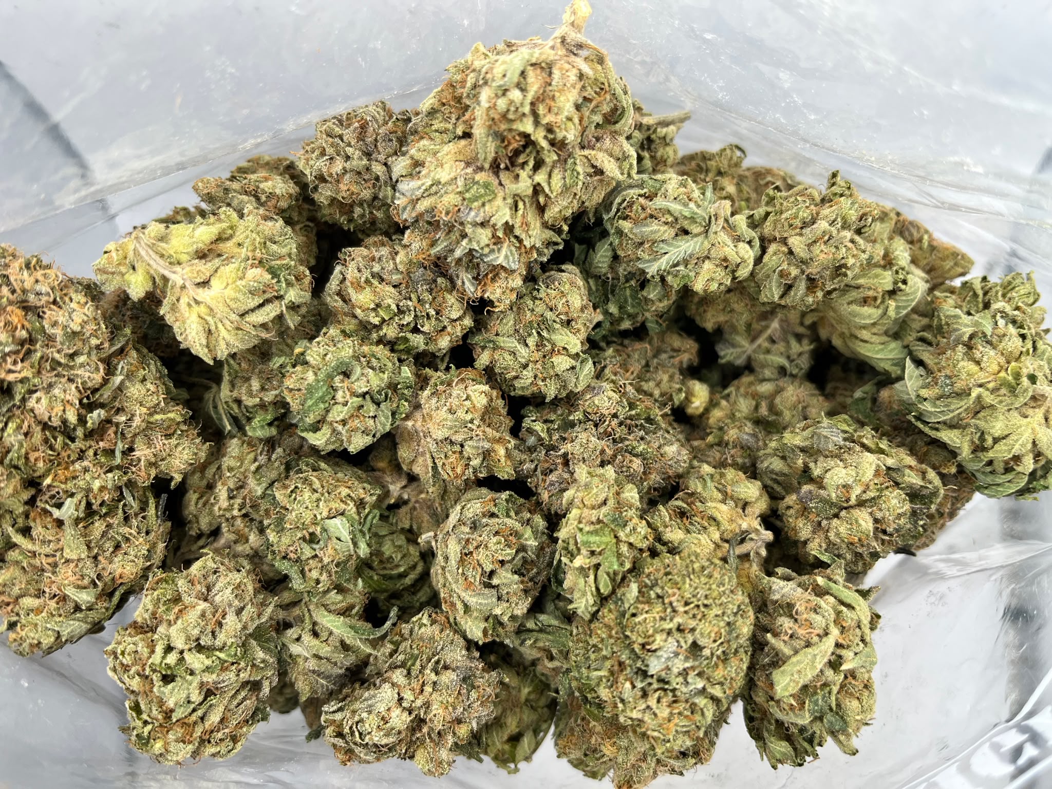 Budget Oz – Skunk No.1