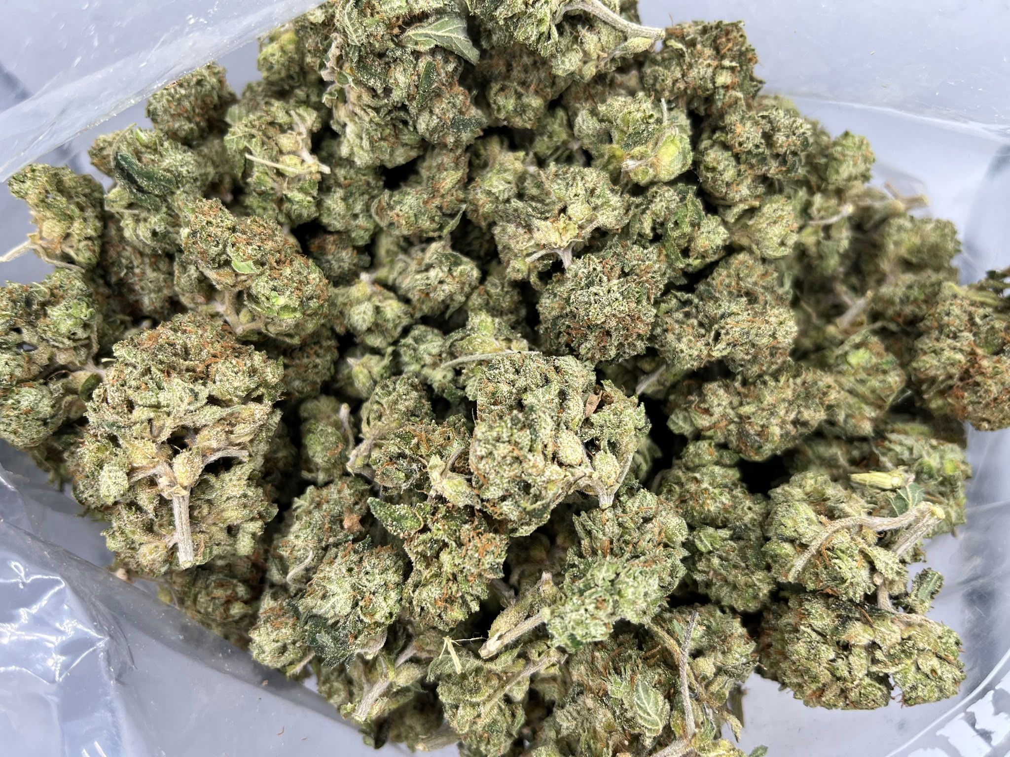 Budget Oz – Russian Assassin