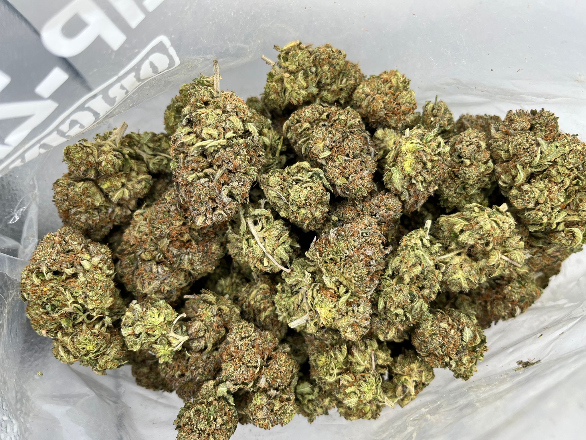 Black Afghan