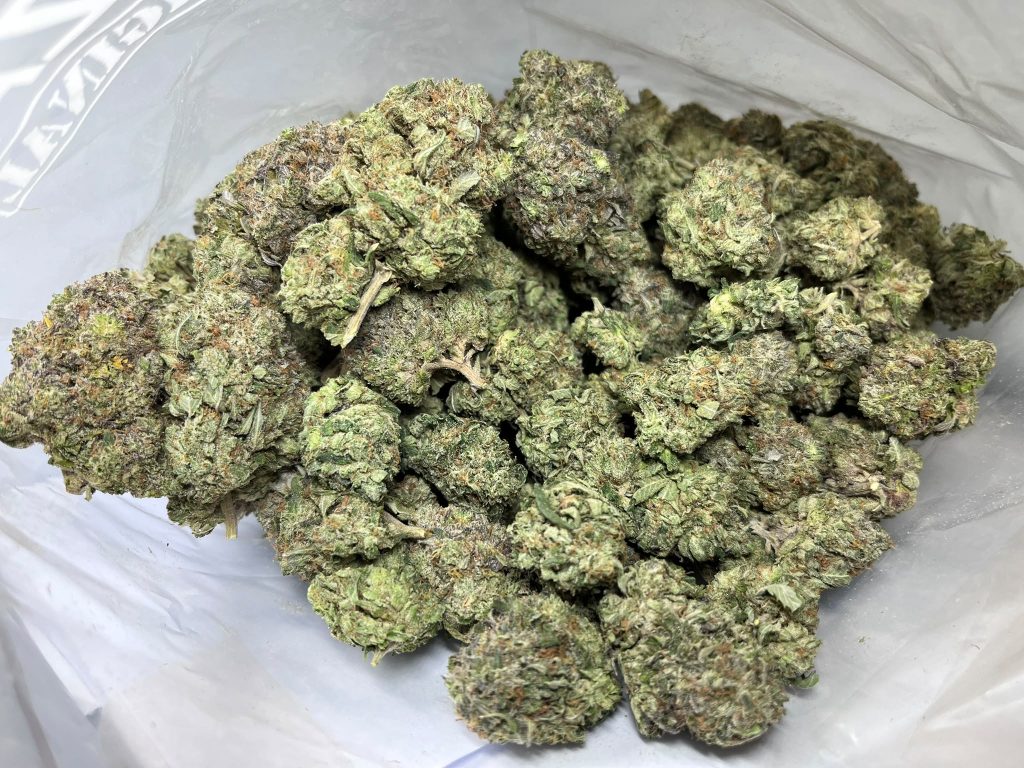 Budget Oz – OG 1 Kenobi