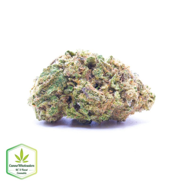 Sojay Haze