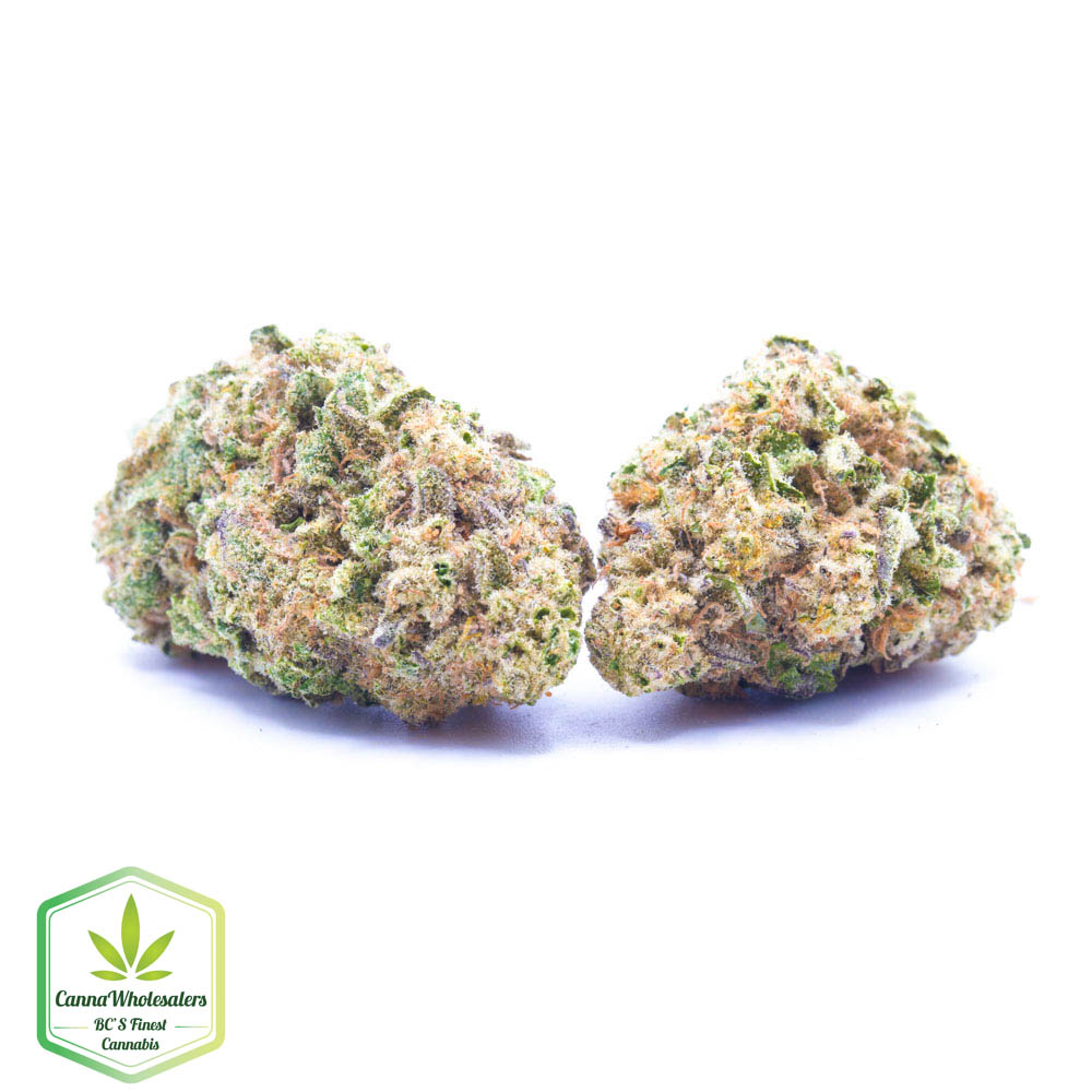 Sojay Haze