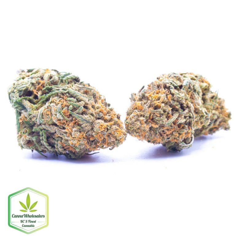 Budget Oz – NY Cheese