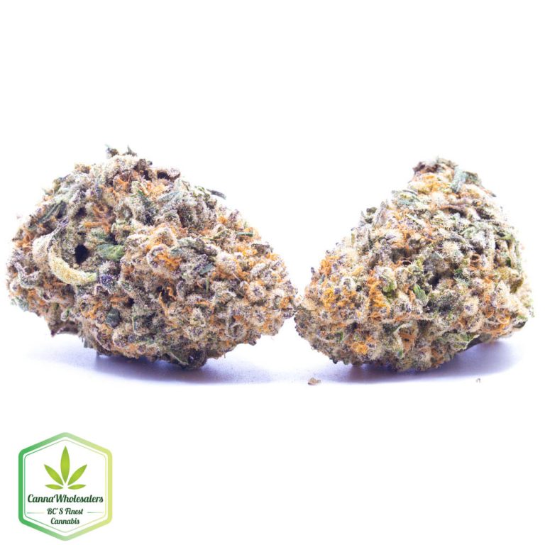 Budget Oz – Mekamika Haze