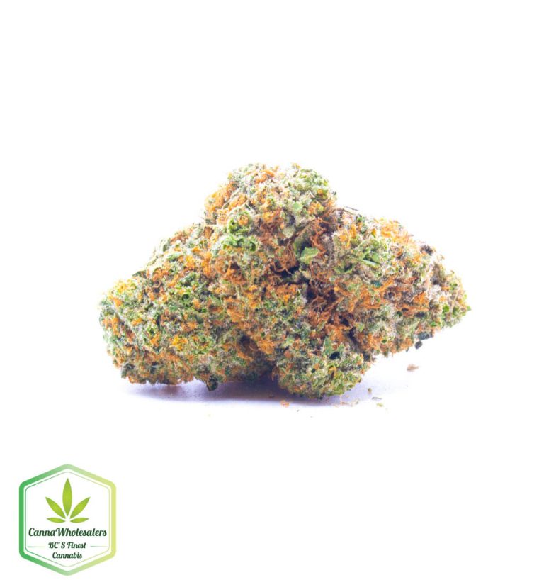 Fire Haze
