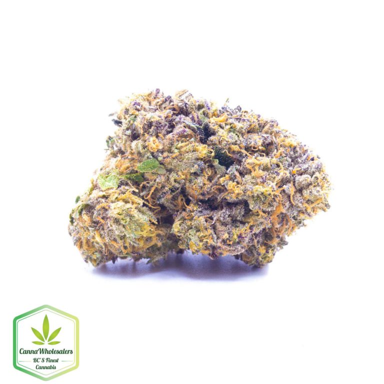 Airheads – Craft Gardens