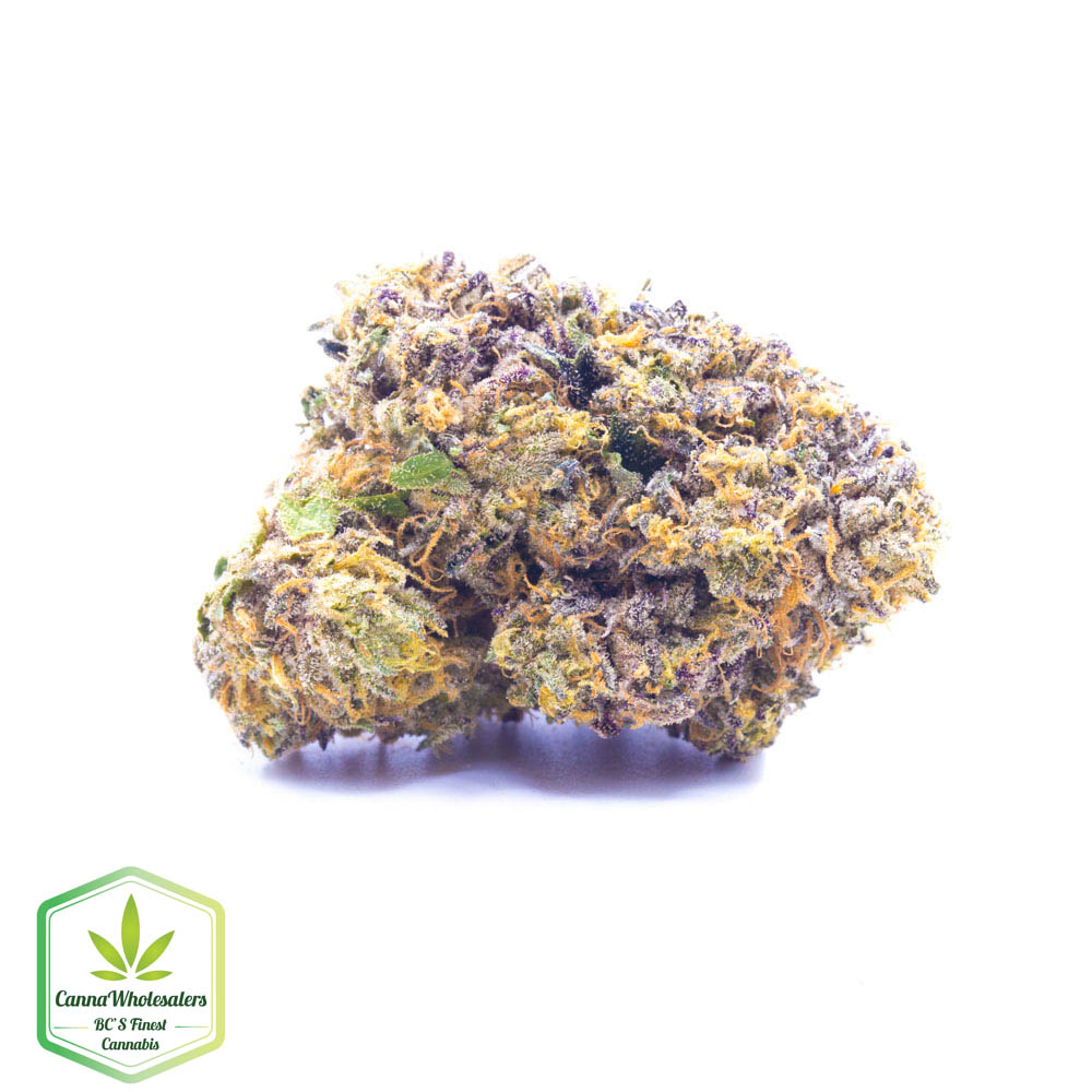 Airheads – Craft Gardens