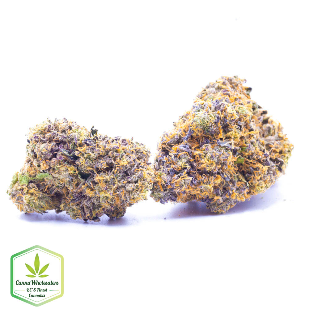 Airheads – Craft Gardens