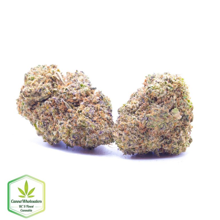 Budget Oz – Confidential Cookies