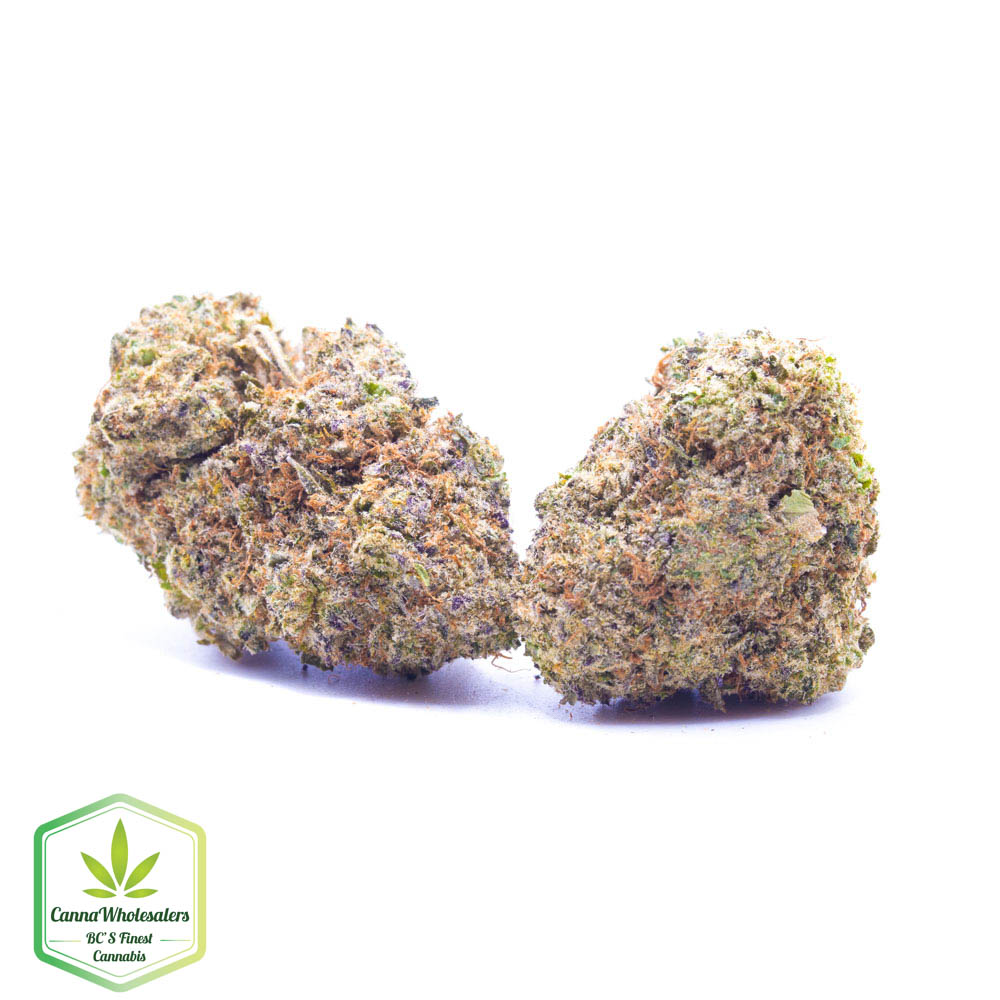 Budget Oz – Confidential Cookies