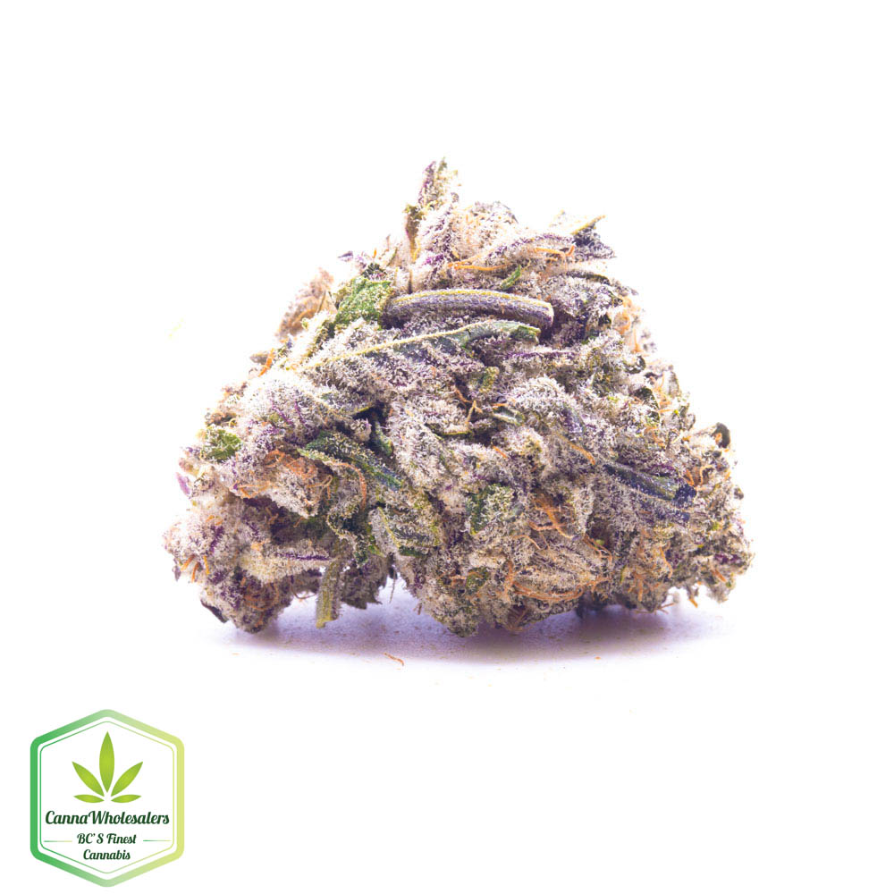 Purple Dream