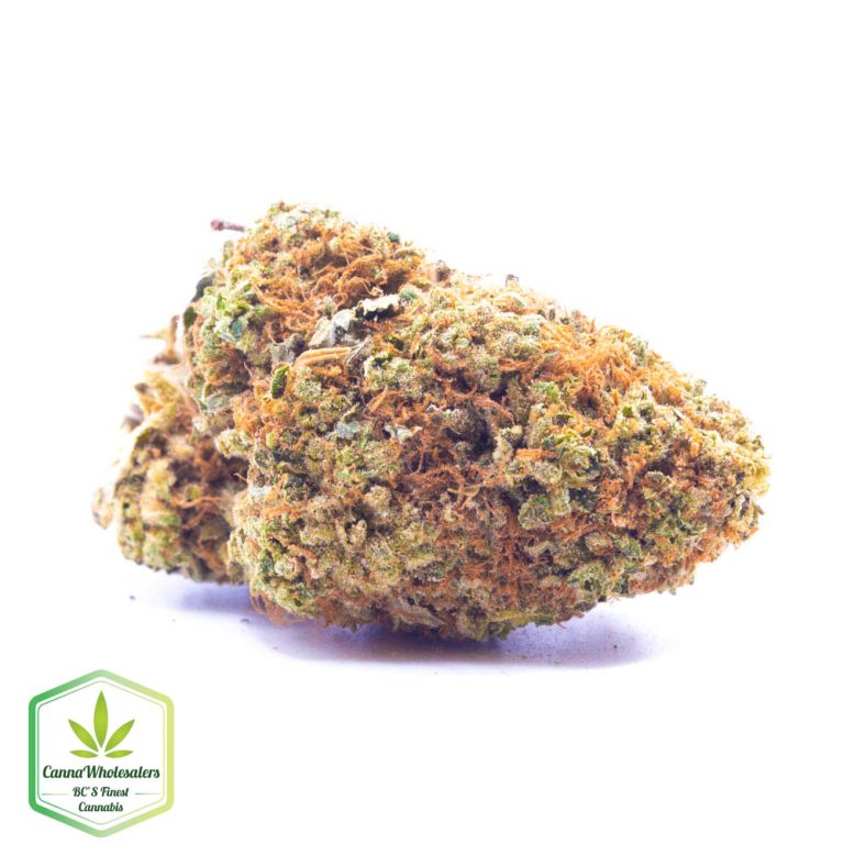 Raspberry Cough