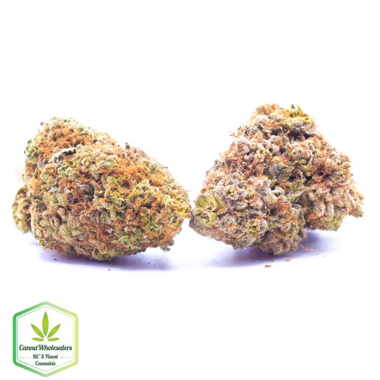 Budget Oz – Raspberry Cough
