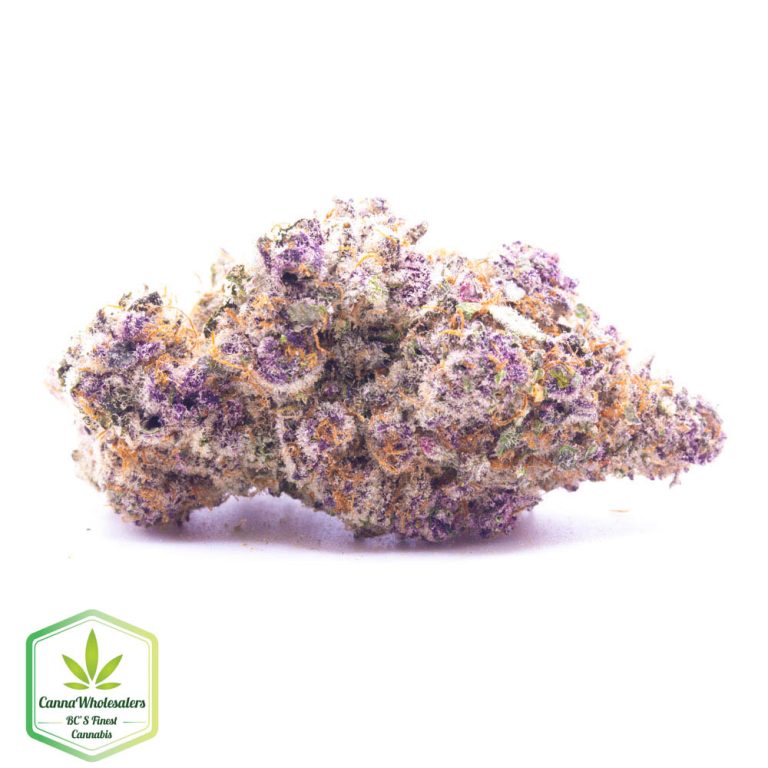 Hightimes Growery – Gobstopper