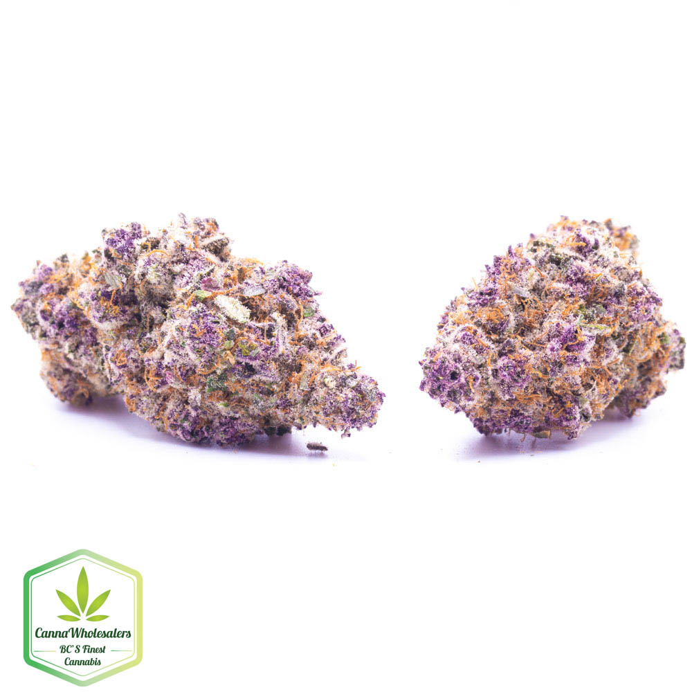 Hightimes Growery – Gobstopper