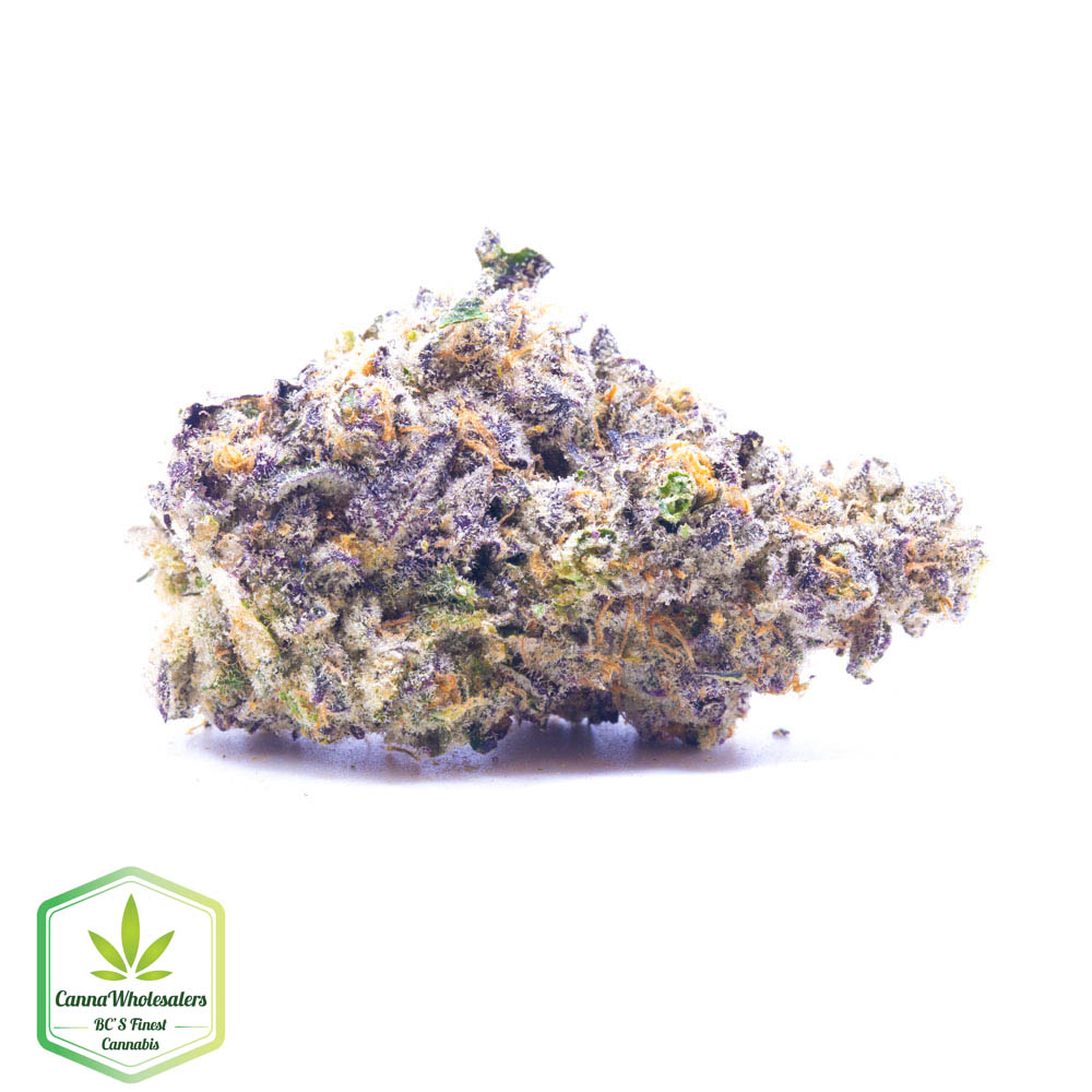 Blueberry Space Cookies