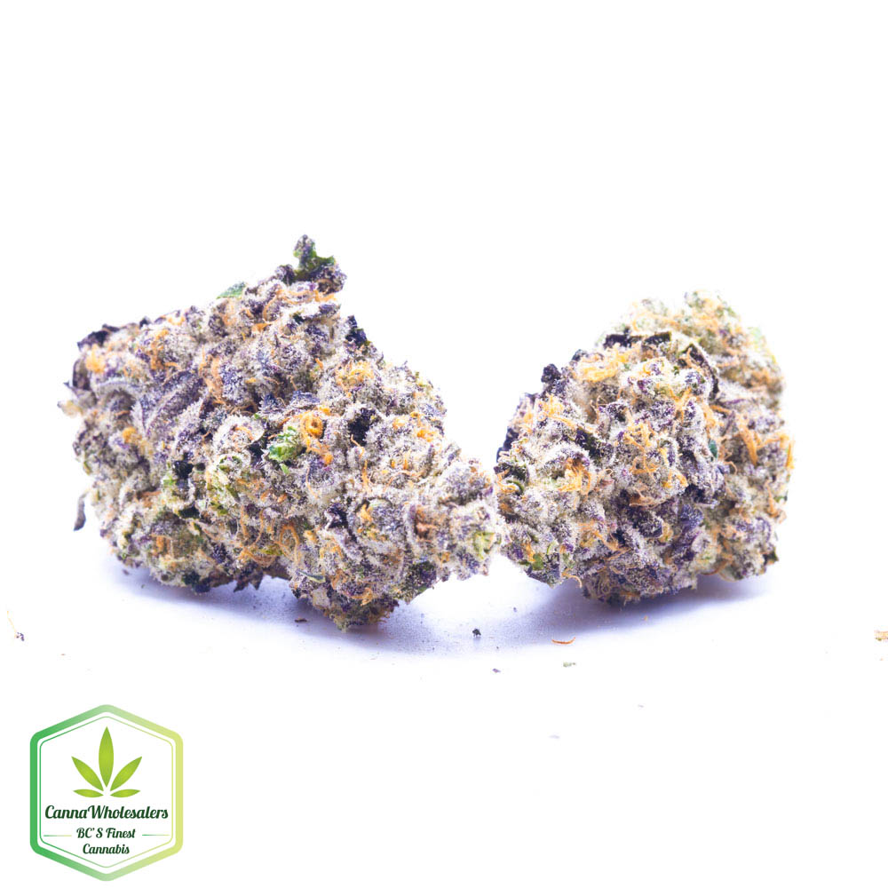 Blueberry Space Cookies
