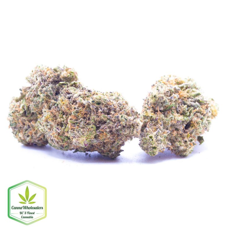 Budget Oz – Hawaiian Rain