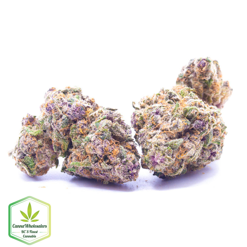Budget Oz – Strawberry Blue
