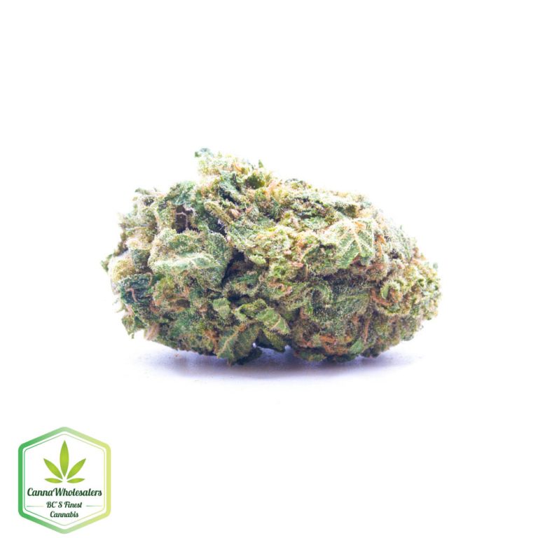 Lemon Cherry Gelato