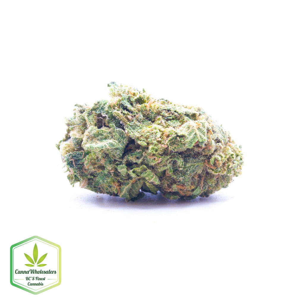 Lemon Cherry Gelato