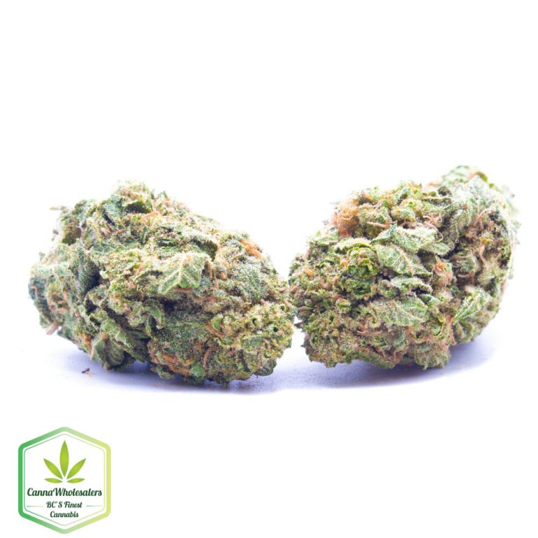 Budget Oz – Lemon Cherry Gelato