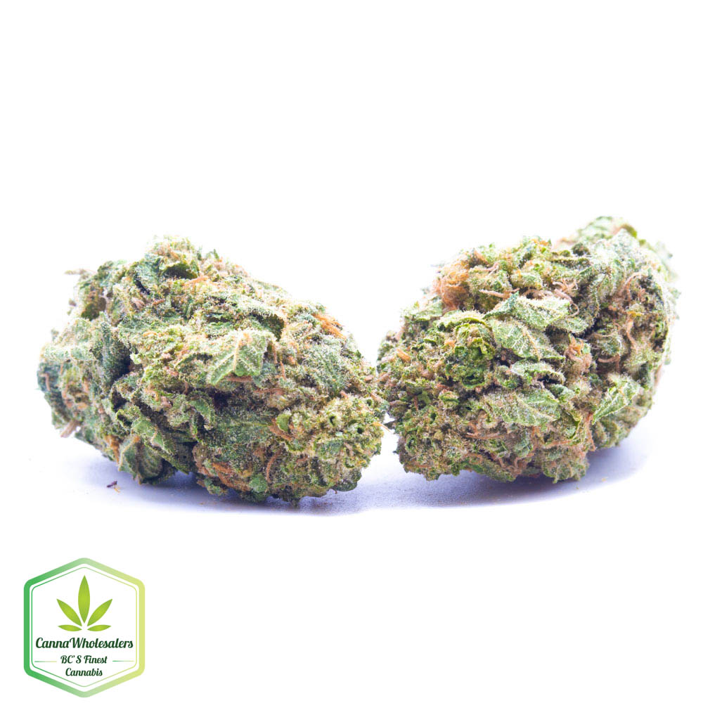 Budget Oz – Lemon Cherry Gelato