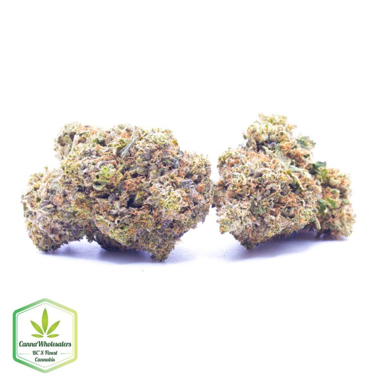 Budget Oz – Boss OG