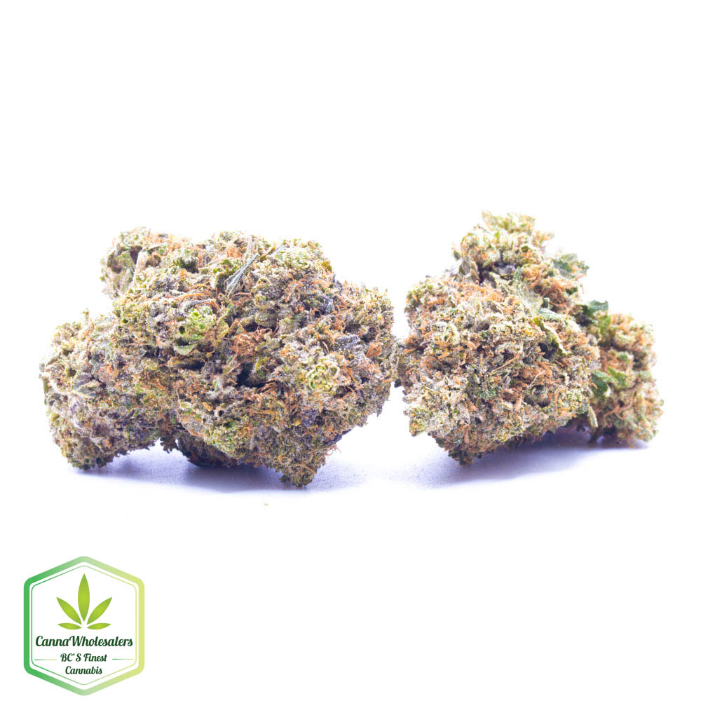 Budget Oz – Boss OG