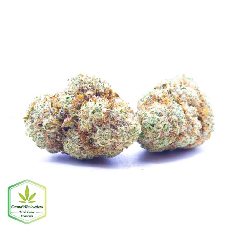 Budget Oz – Cracker Jack