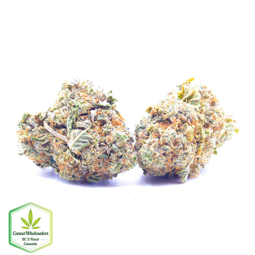 Budget Oz – Lemon Bubble